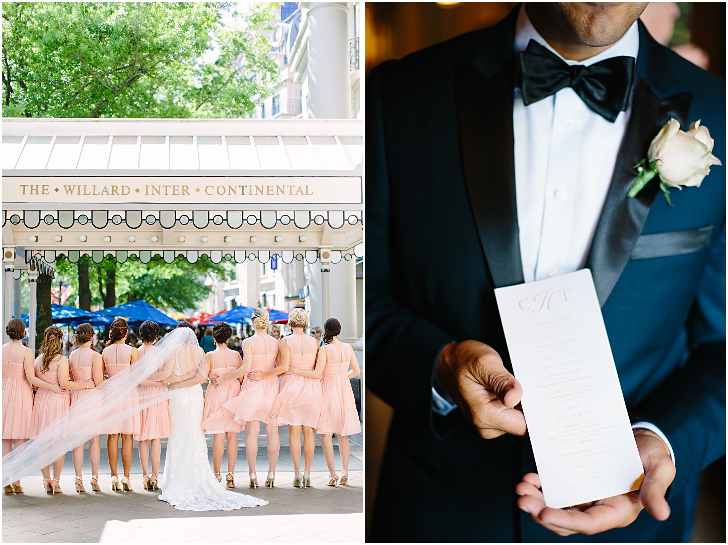 Images Captured By : SARAH BRADSHAW PHOTOGRAPHY