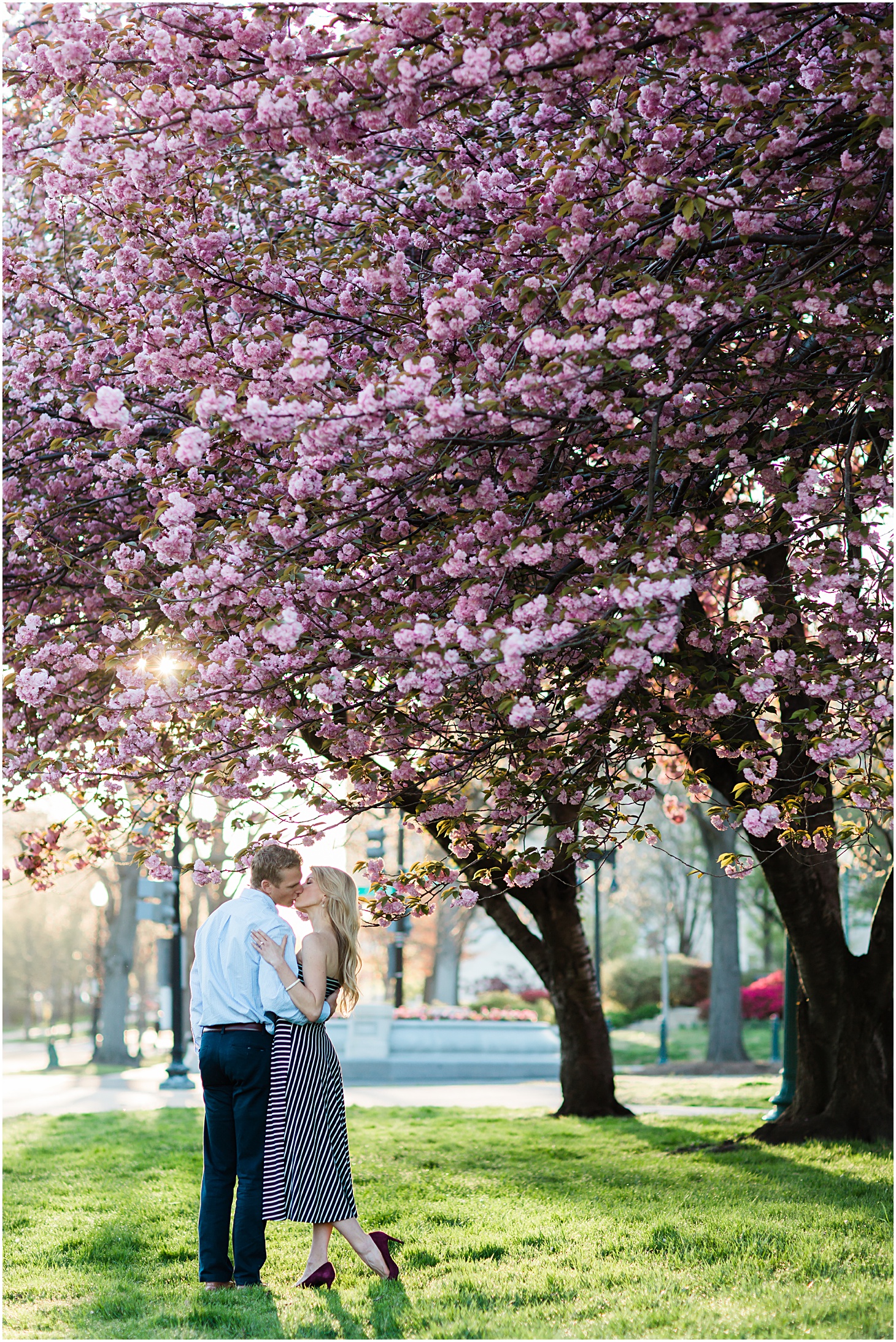 2017 Best of Engagements by Sarah Bradshaw | DC Engagement Cherry Blossoms