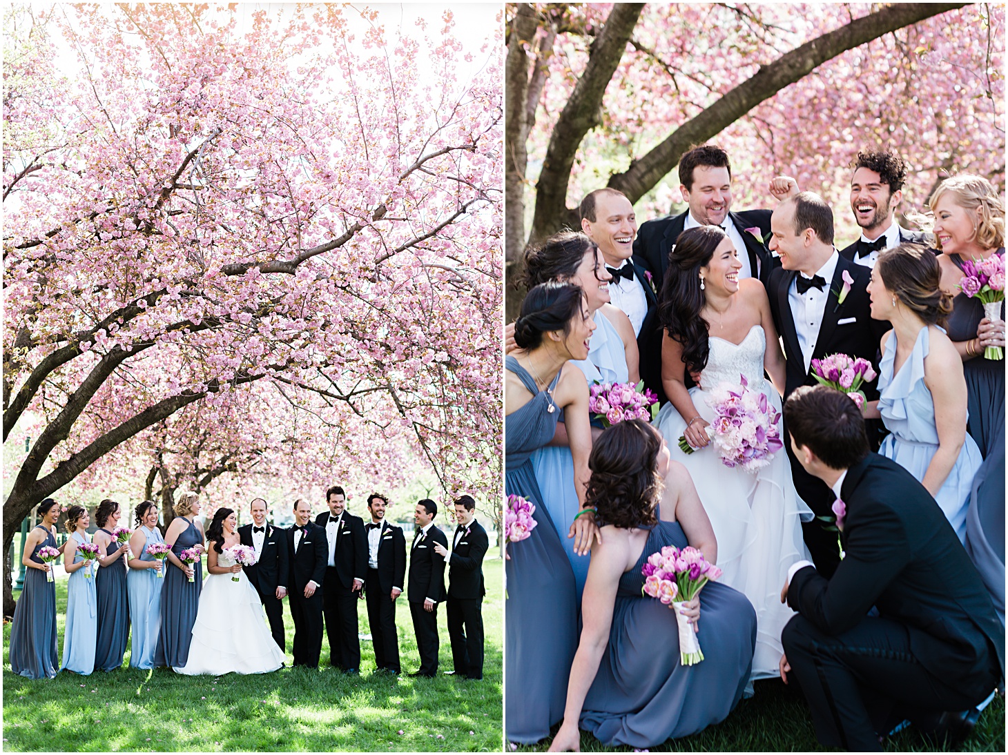 Cherry Blossom Wedding Party | Top Washington DC wedding photographer Sarah Bradshaw