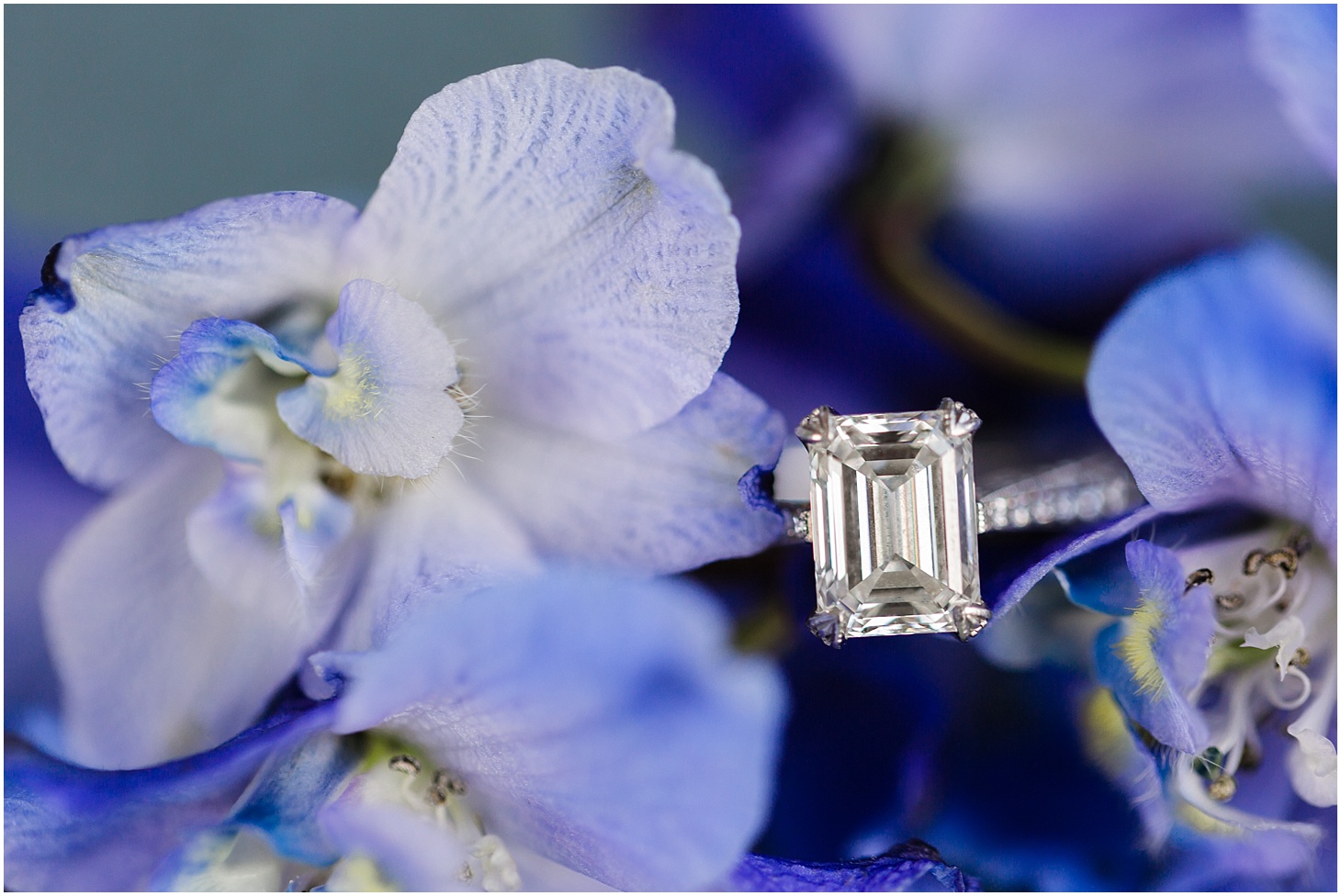 Engagement Ring Detail | Southern Magnolia Wedding at the Naval Academy and Gibson Island Club | Sarah Bradshaw Photography