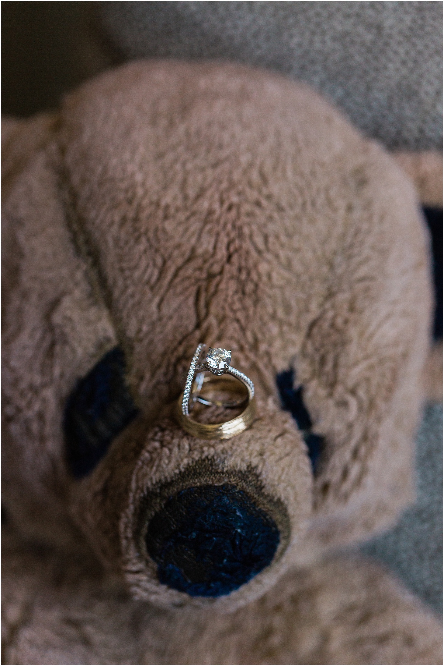 Engagement Ring and Wedding Bands on Childhood Stuffed Animal , Museum-Inspired Spring Wedding at National Museum of Women in the Arts, Sarah Bradshaw Photography, DC Wedding Photographer