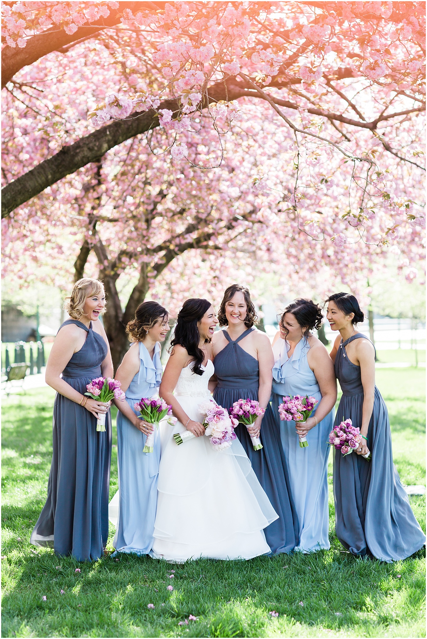 Wedding Party Portraits Under Cherry Trees, Museum-Inspired Spring Wedding at National Museum of Women in the Arts, Sarah Bradshaw Photography, DC Wedding Photographer