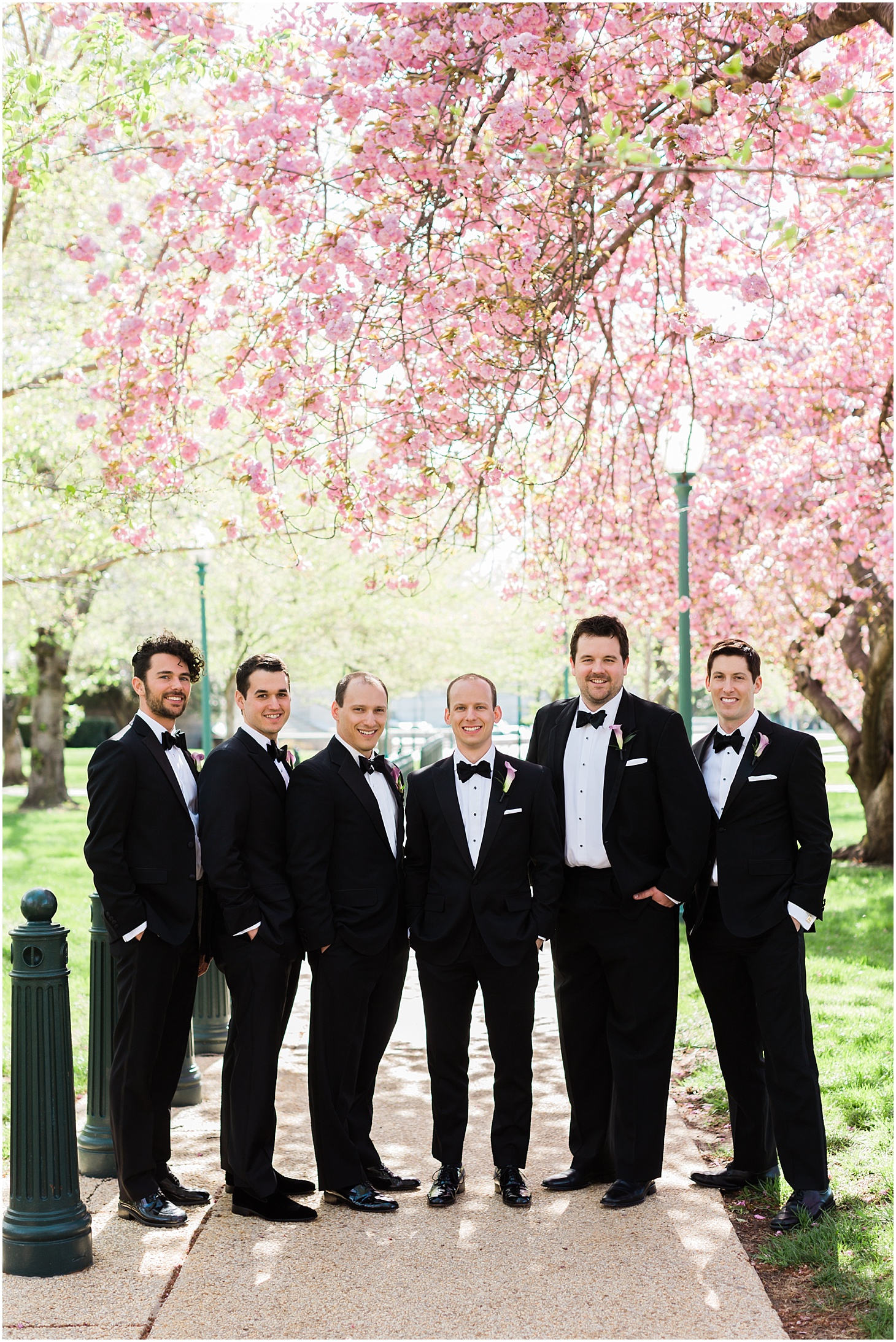Wedding Party Portraits Under Cherry Trees, Museum-Inspired Spring Wedding at National Museum of Women in the Arts, Sarah Bradshaw Photography, DC Wedding Photographer
