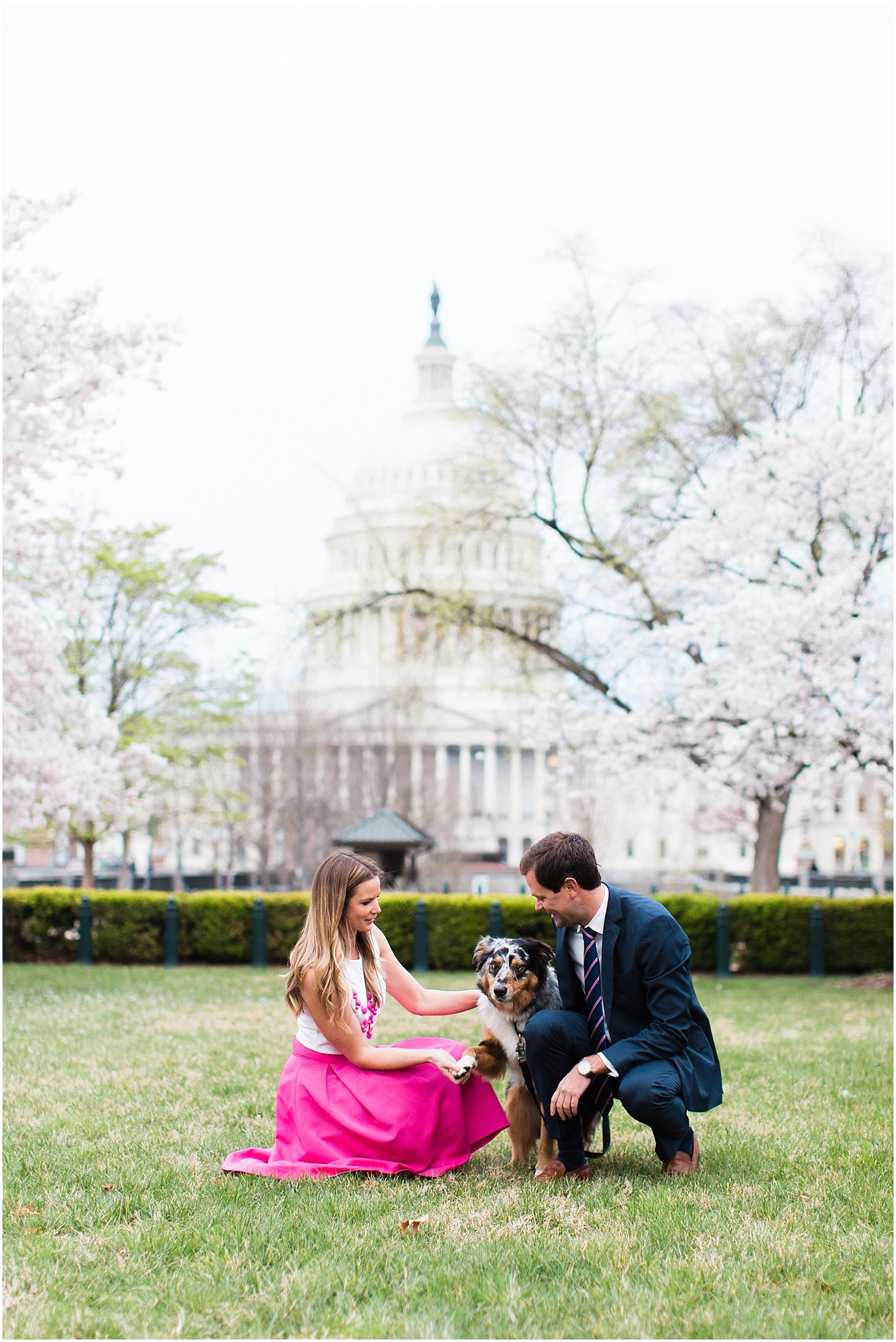 Engagement Portraits with Dog and Cherry Blossoms at Capitol, Spring Sunrise Engagement at US Capitol and Yards Park, Sarah Bradshaw Photography, DC Wedding Photographer
