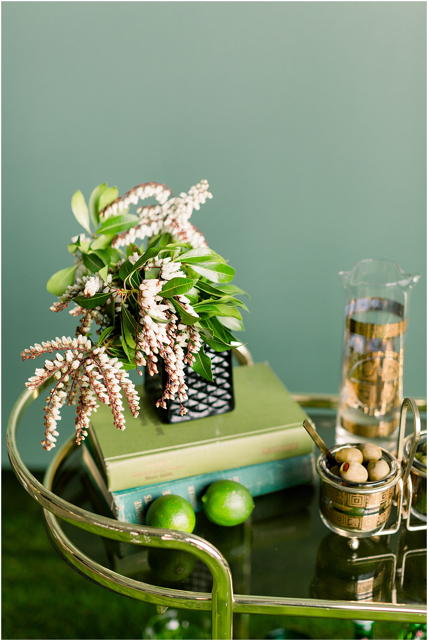 Green Color Theory Editorial, Sarah Bradshaw Photography, DC Wedding Photographer