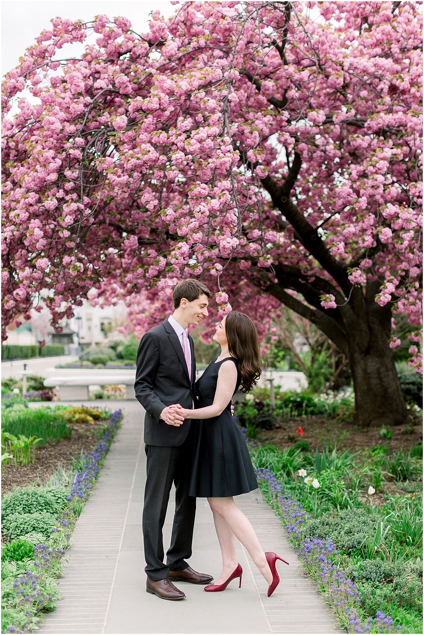 Engagement Portraits in DC, Spring Blooms Engagement Session at the United States Supreme Court, Sarah Bradshaw Photography, DC Engagement Photographer