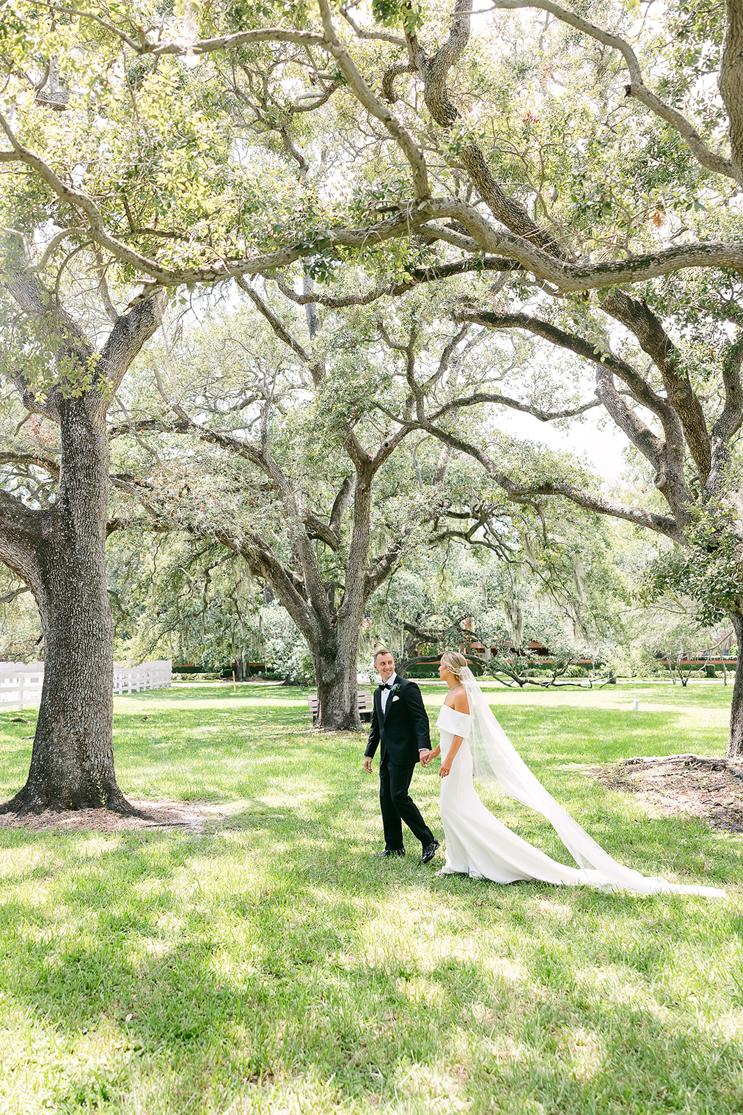 creative wedding day portrait, bride and groom in grove of trees.