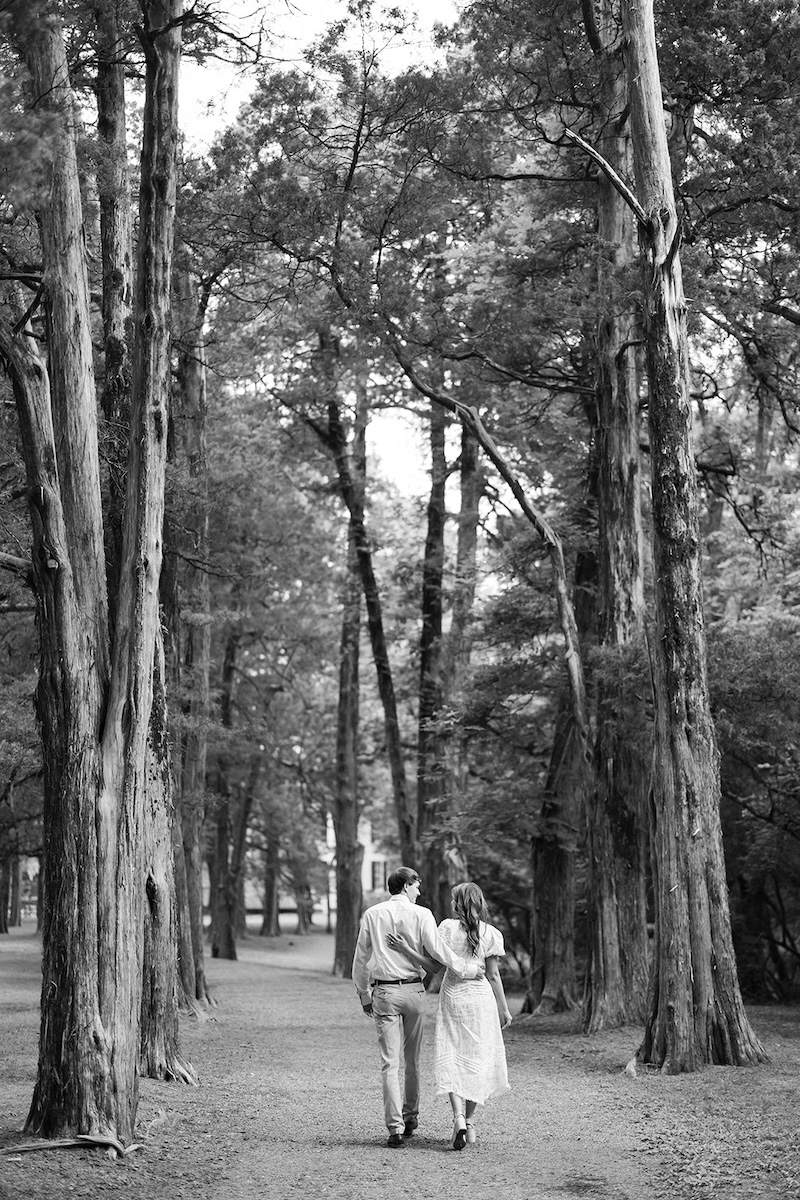 black and white portrait of couple walking on tree lined road. southern wedding engagement session, sarah bradshaw photography.