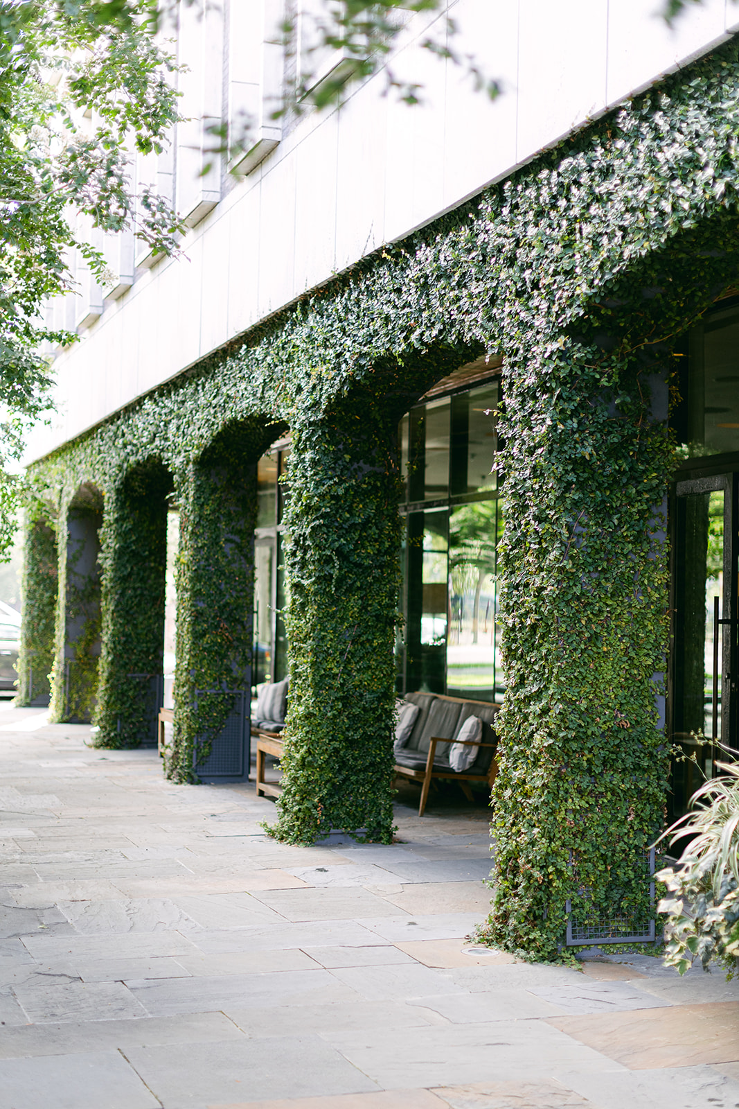 Ivy covered hotel walls in walled garden patio space. The Dewberry Hotel, Charleston South Carolina. Sarah Bradshaw Photography