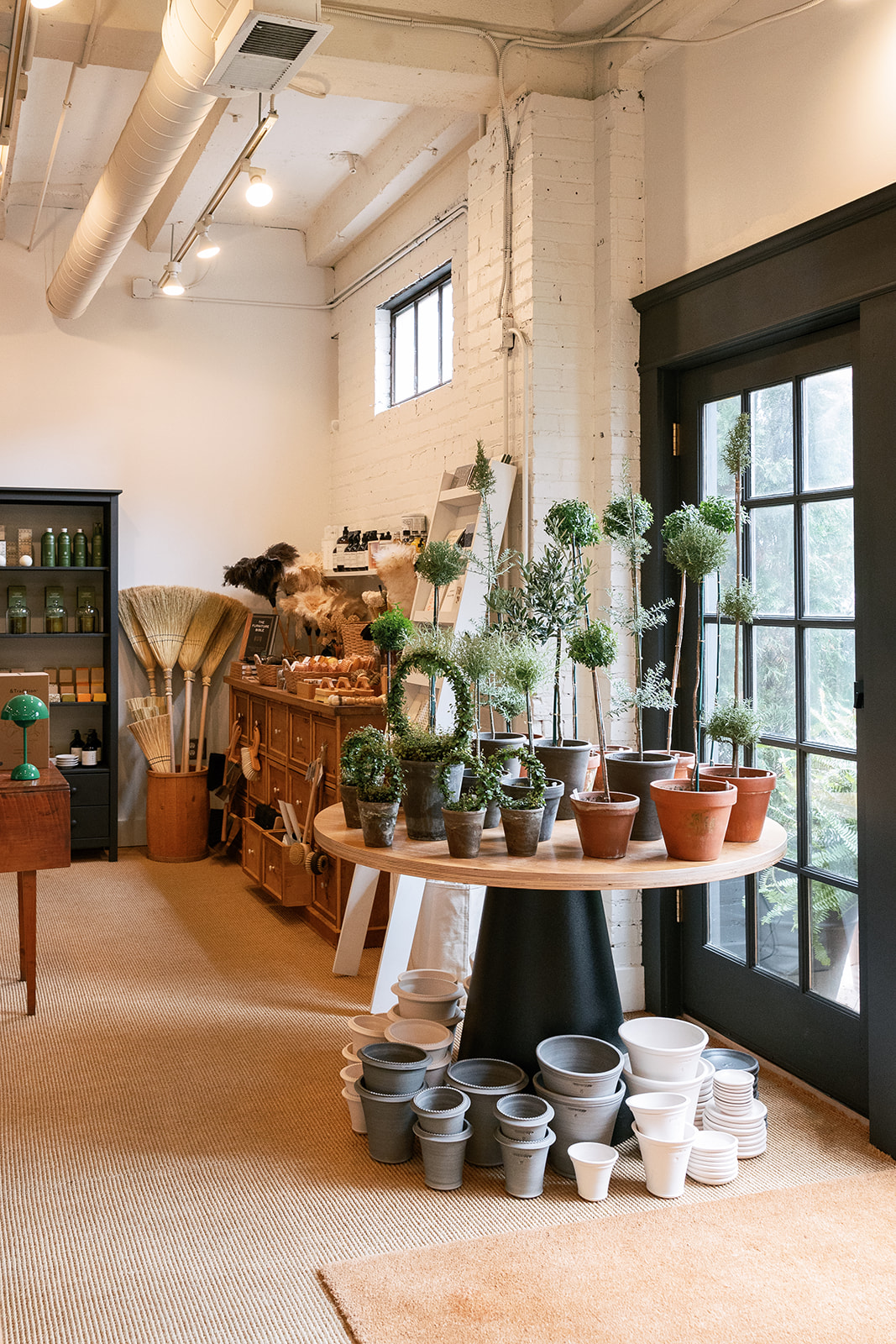 simple potted plants. artisanal housewares store, georgetown dc, alexandria va. sarah bradshaw photography