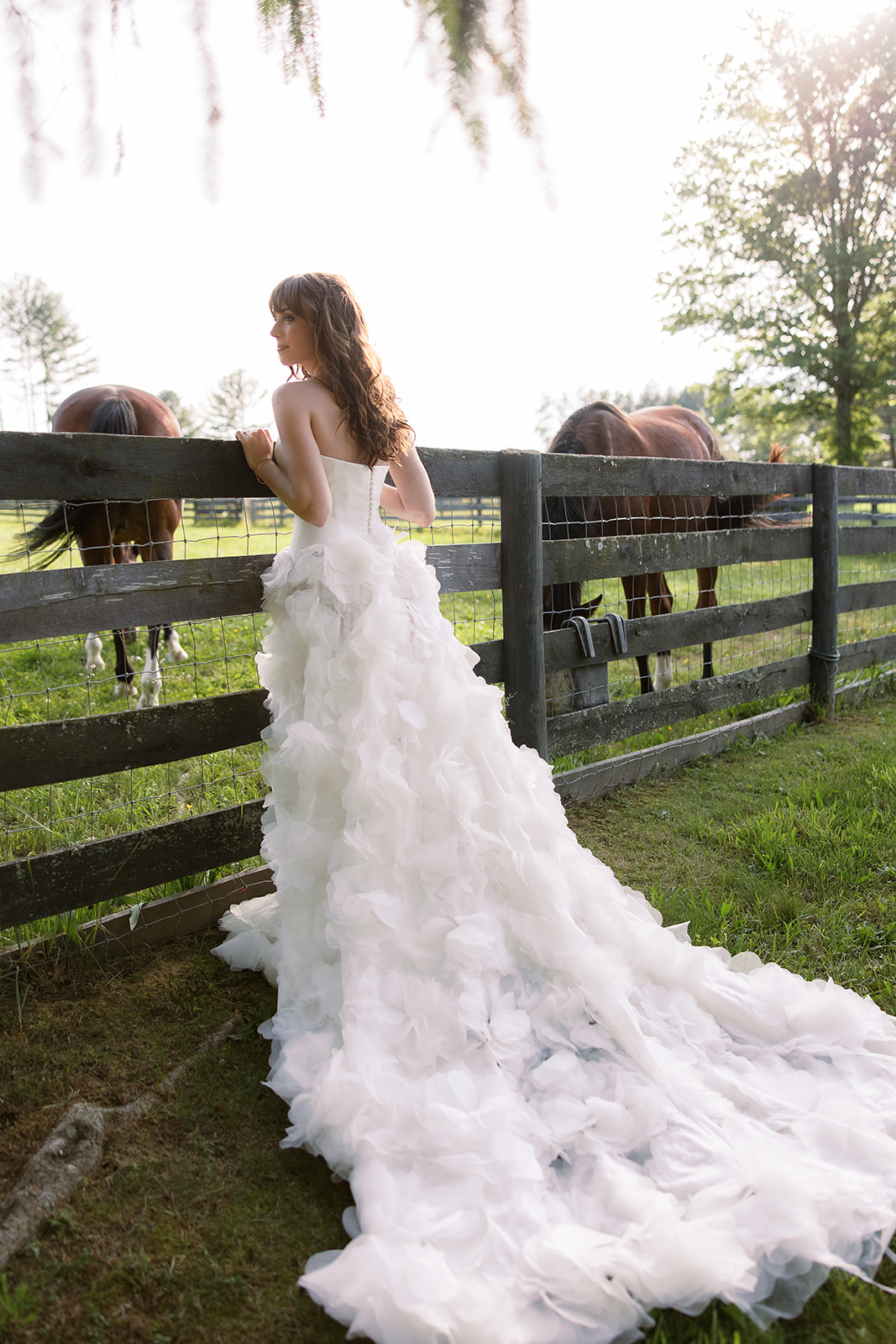 bride in strapless wedding dress, tiered tulle skirt. portrait on farm. chic equestrian wedding inspiration at Red Fox Inn, Middleburg Virginia. Sarah Bradshaw