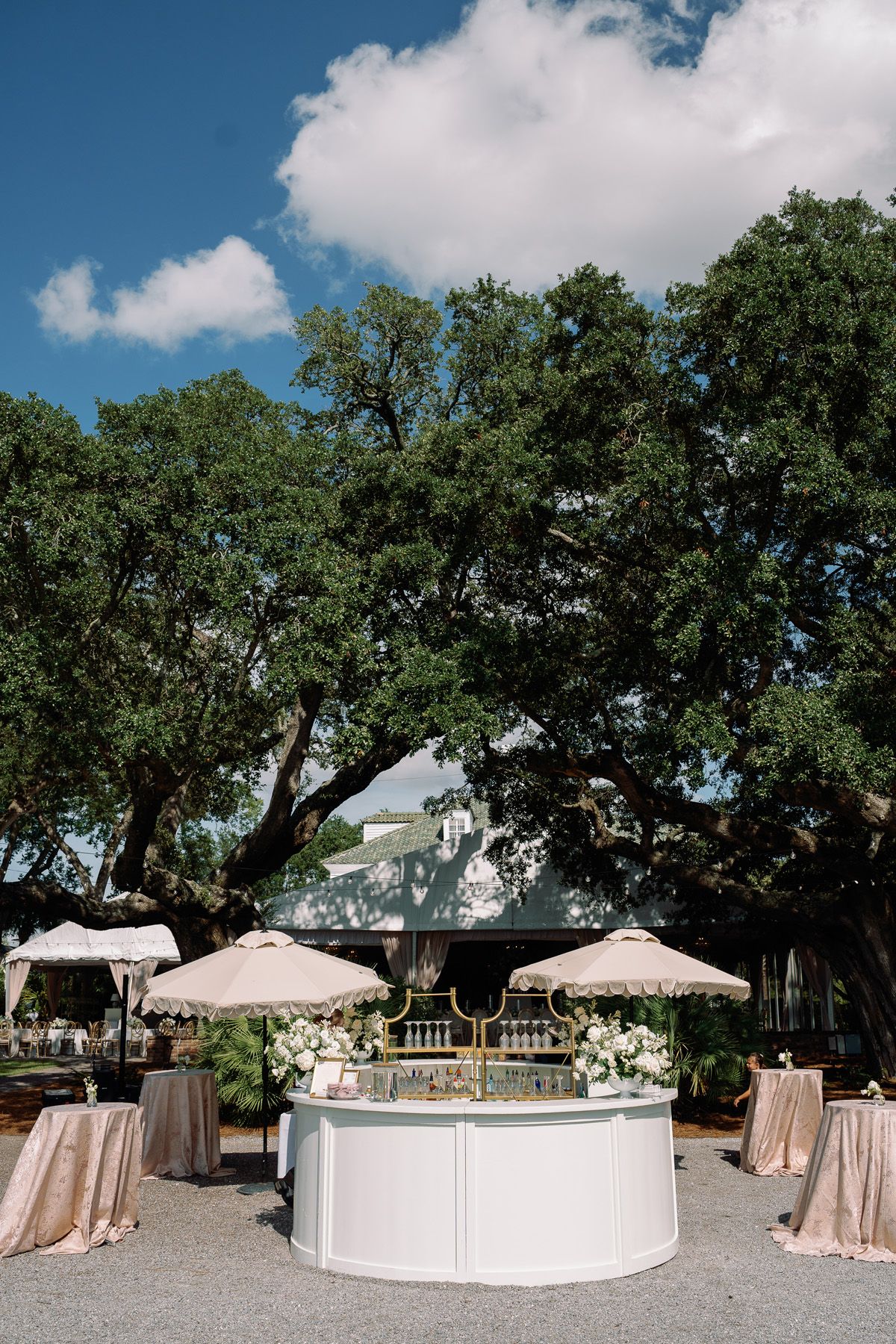 Lowndes Grove Charleston SC summer wedding Sarah Bradshaw Photography