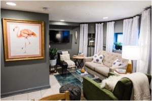Small Space Living Room Inspiration | Modern Basement Apartment Tour in Capitol Hill | Sarah Bradshaw Photography | Washington, DC Interior Design Photographer