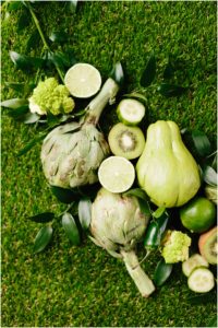 Green Color Theory Editorial, Sarah Bradshaw Photography, DC Wedding Photographer