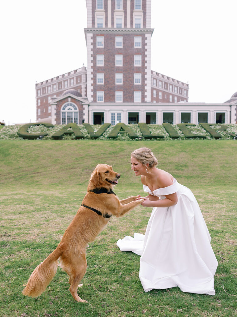 bride with golden retriever portraits at Historic Cavalier Hotel in Virginia Beach by Sarah Bradshaw Photography
